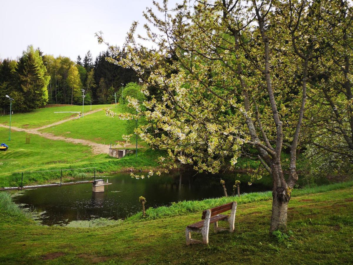 Chalet Srub Na Svahu Sjezdovky V Radvanicich *