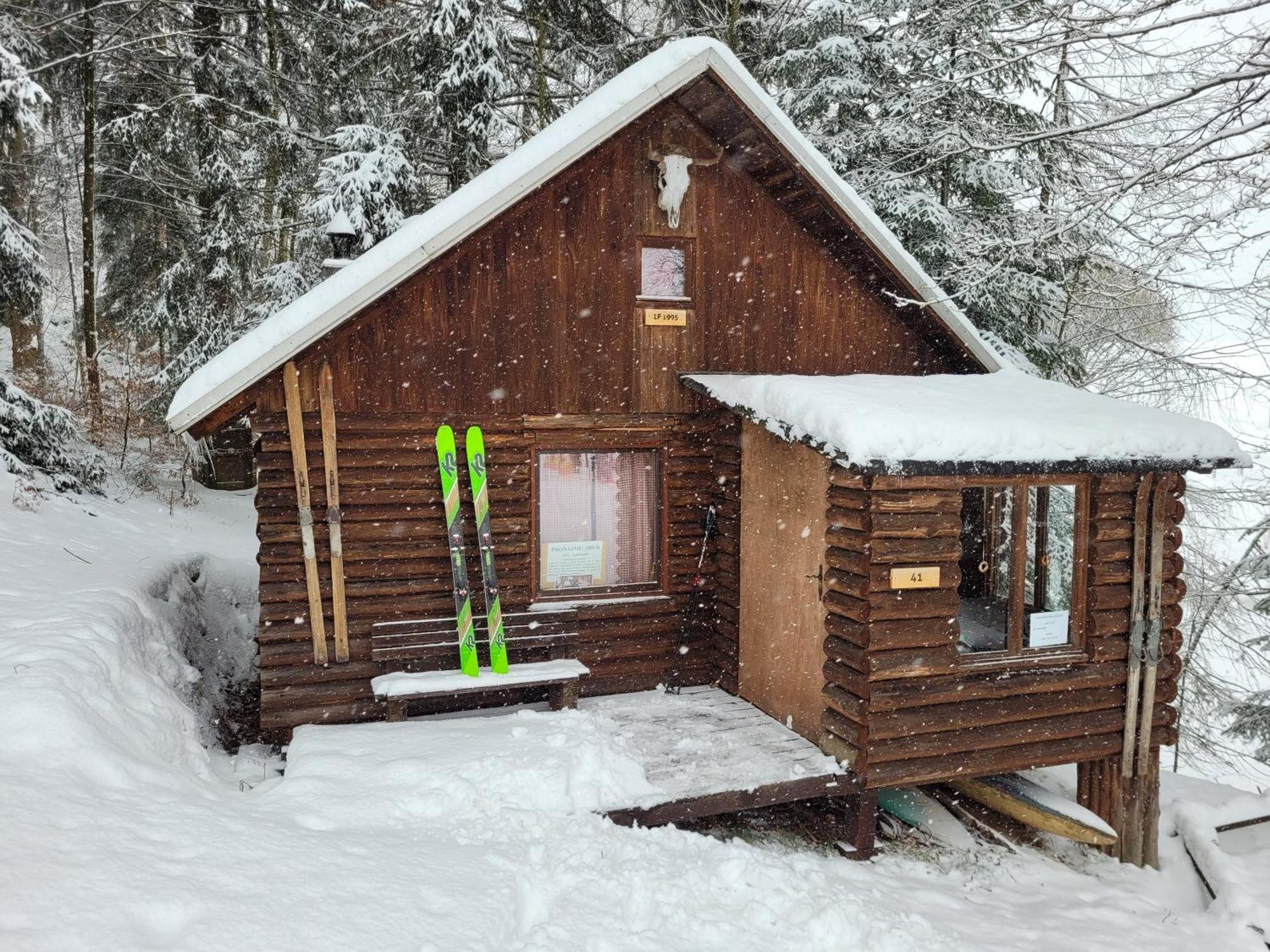Chalet Srub Na Svahu Sjezdovky V Radvanicich *